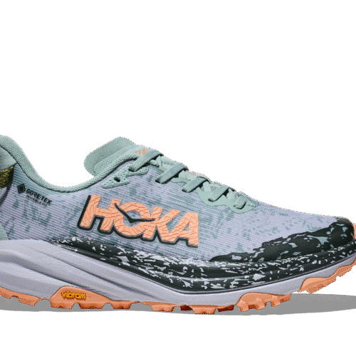 Women's Speedgoat 6 GTX (JSH - Jade/Ash Grey)