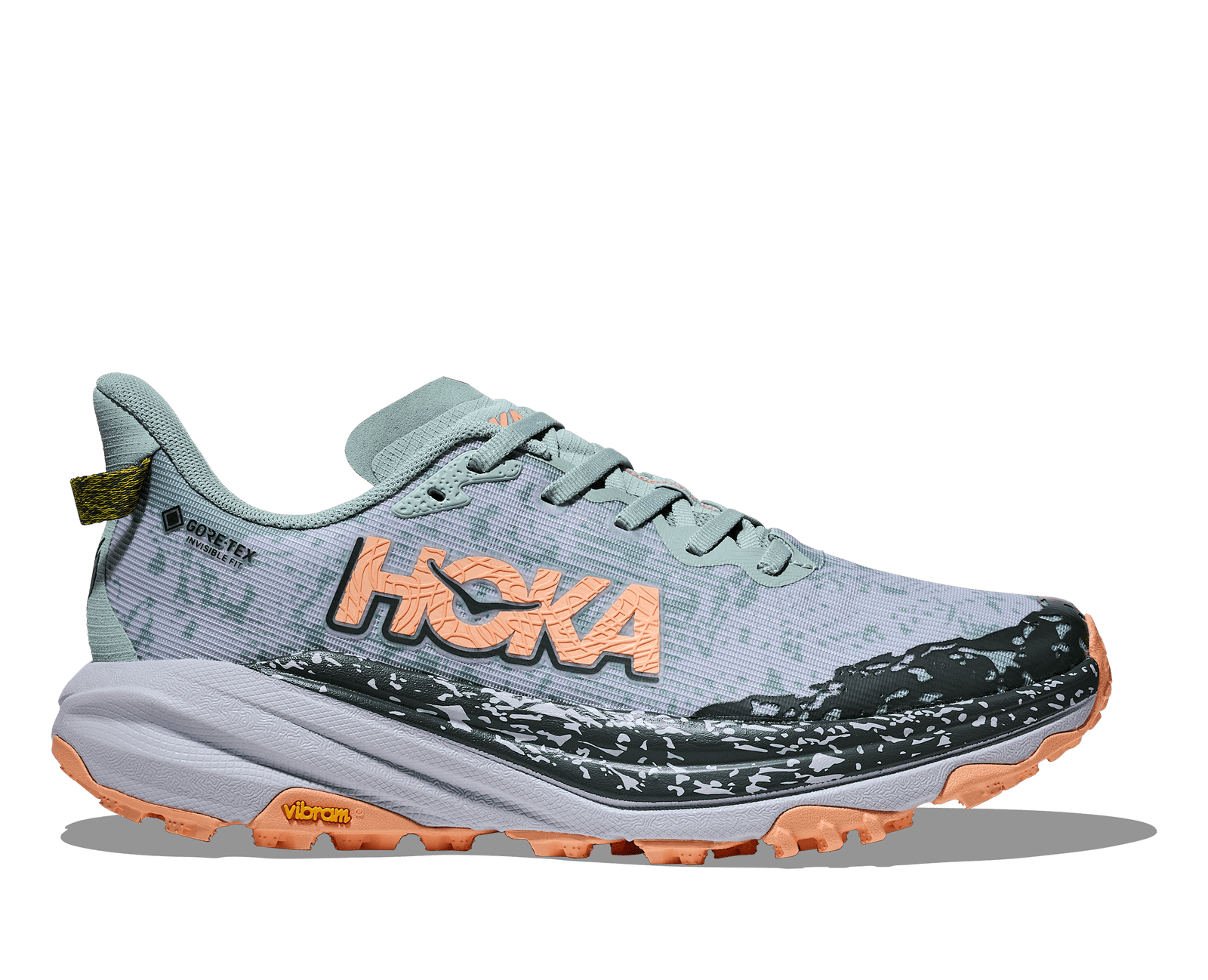 Women's Speedgoat 6 GTX (JSH - Jade/Ash Grey)