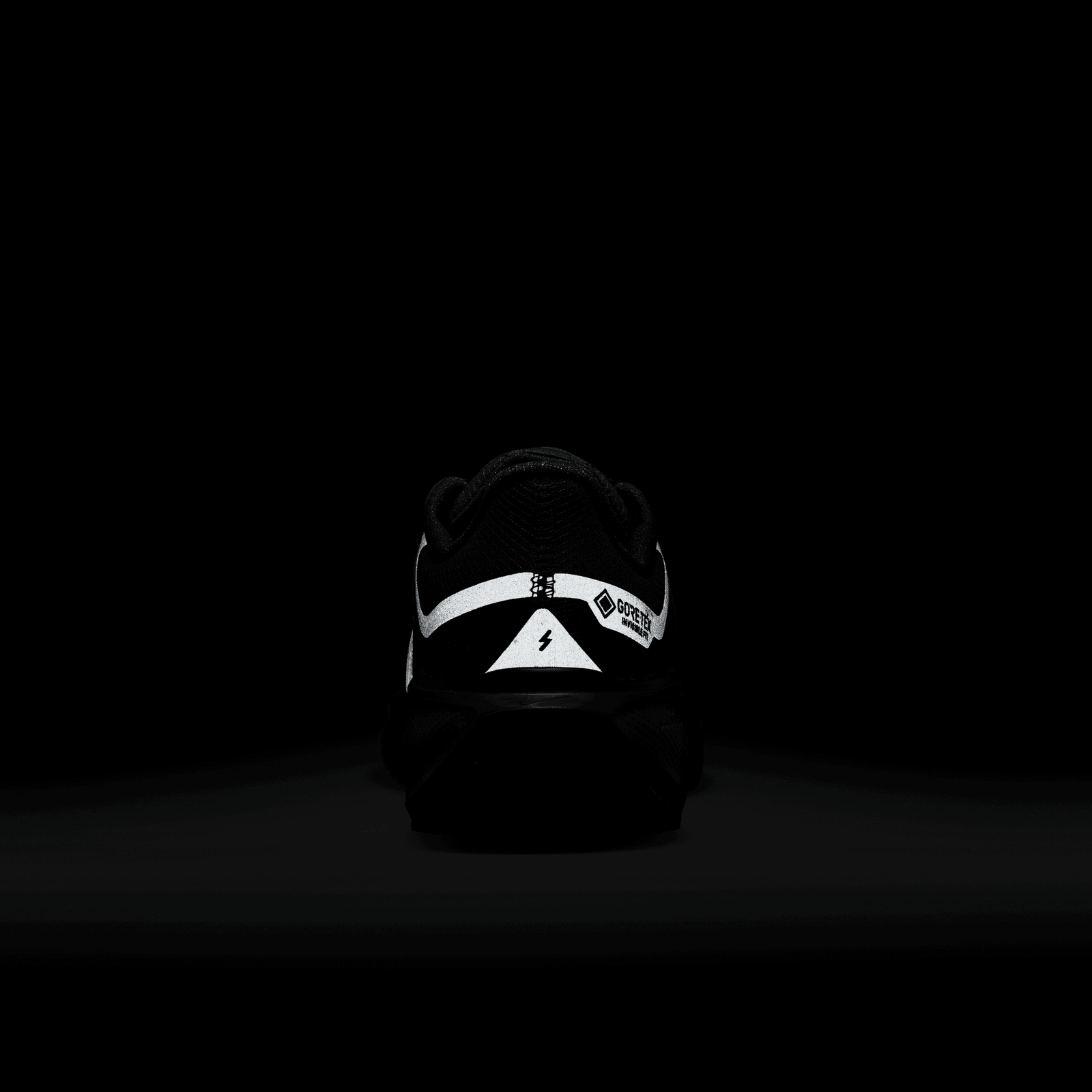 Women's Pegasus 41 GORE-TEX (001 - Black/Black-Anthracite) - Image 11