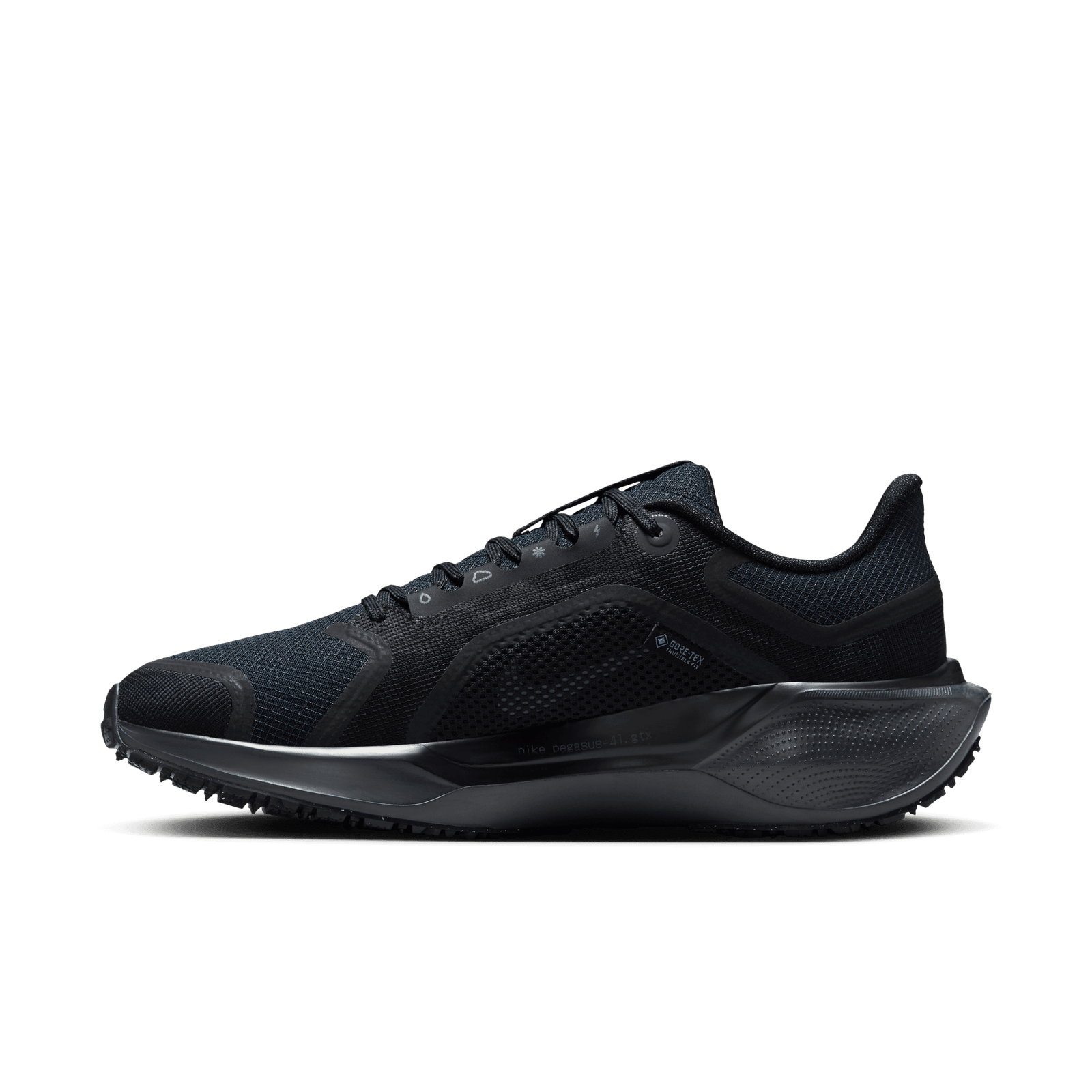 Women's Pegasus 41 GORE-TEX (001 - Black/Black-Anthracite) - Image 2