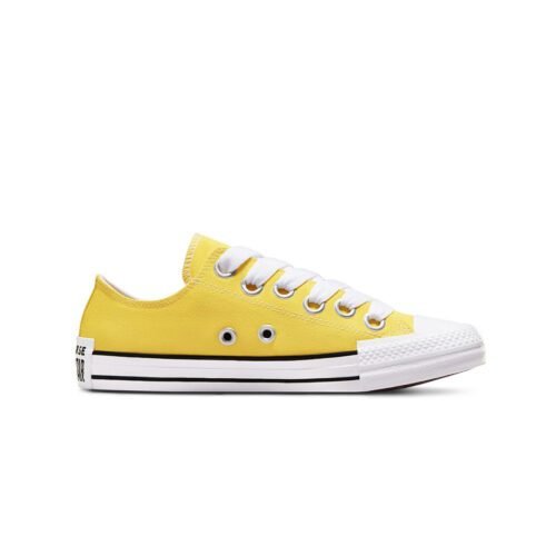 Converse - Unisex Chuck Taylor All Star Sketch Low Top Shoes (A10360C)